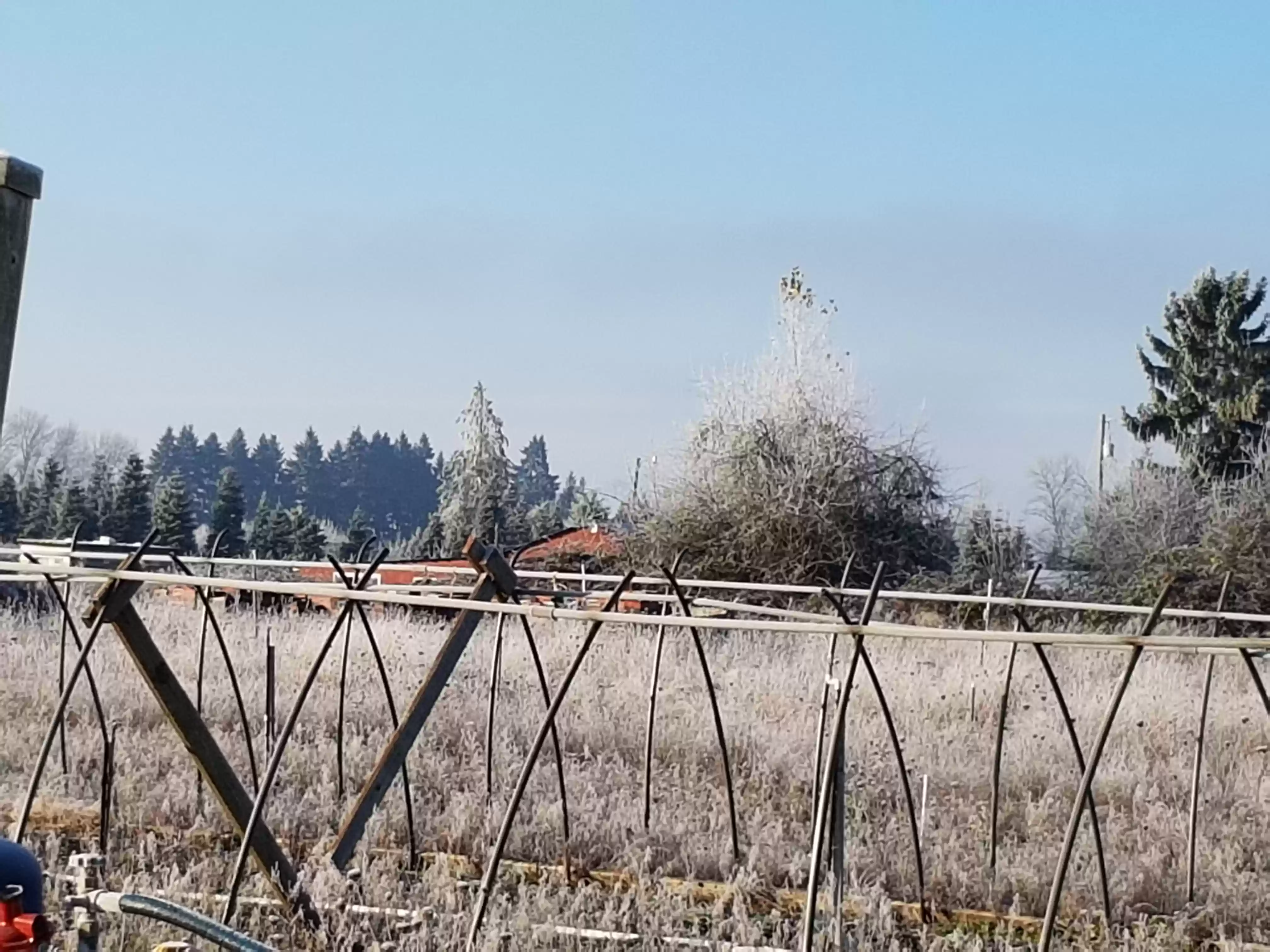 20171211_092745